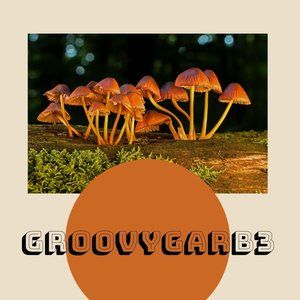 ANY OFFER WILL BE CONSIDERED